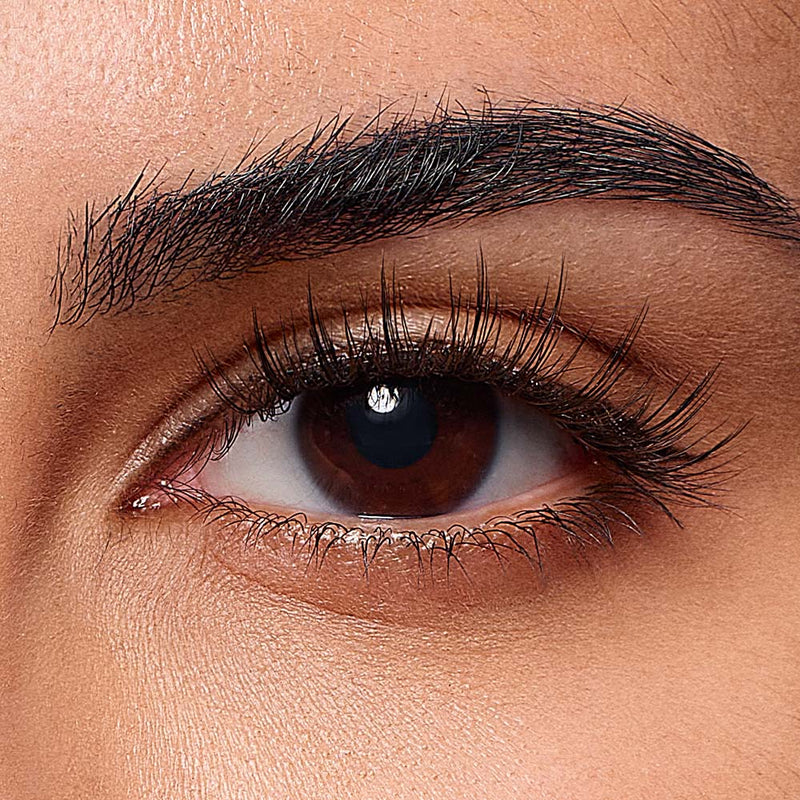 Chicago Skyline All-in-One Box